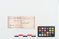 Etiketten zu Bronzebrillenfibel (NHMW-PRAE-024976)